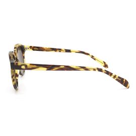 Os óculos de sol polarizados do acetato da tartaruga da forma óculos de sol redondos para o olho protegem fornecedor